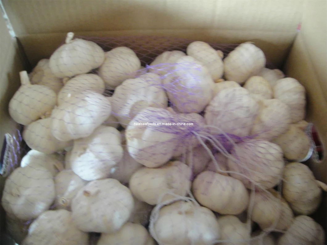 Chinese Frozen Fresh Pure White Garlic