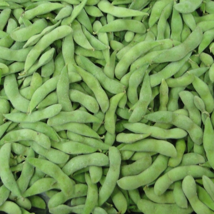 Wholesale Bulk IQF Soybean Frozen Green Edamame Young Green Beans