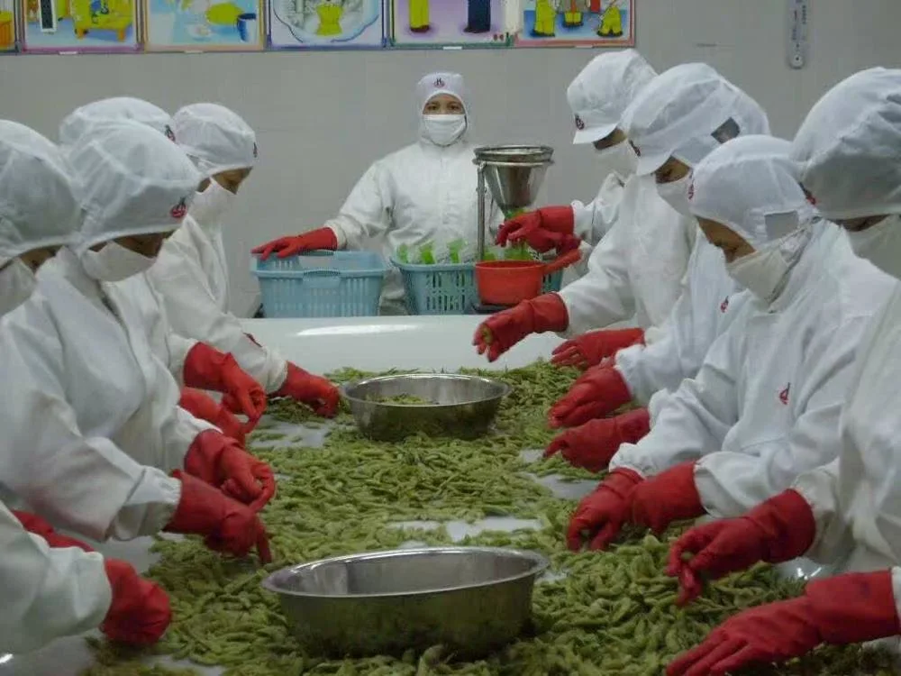 Wholesale Bulk IQF Soybean Frozen Green Edamame Young Green Beans