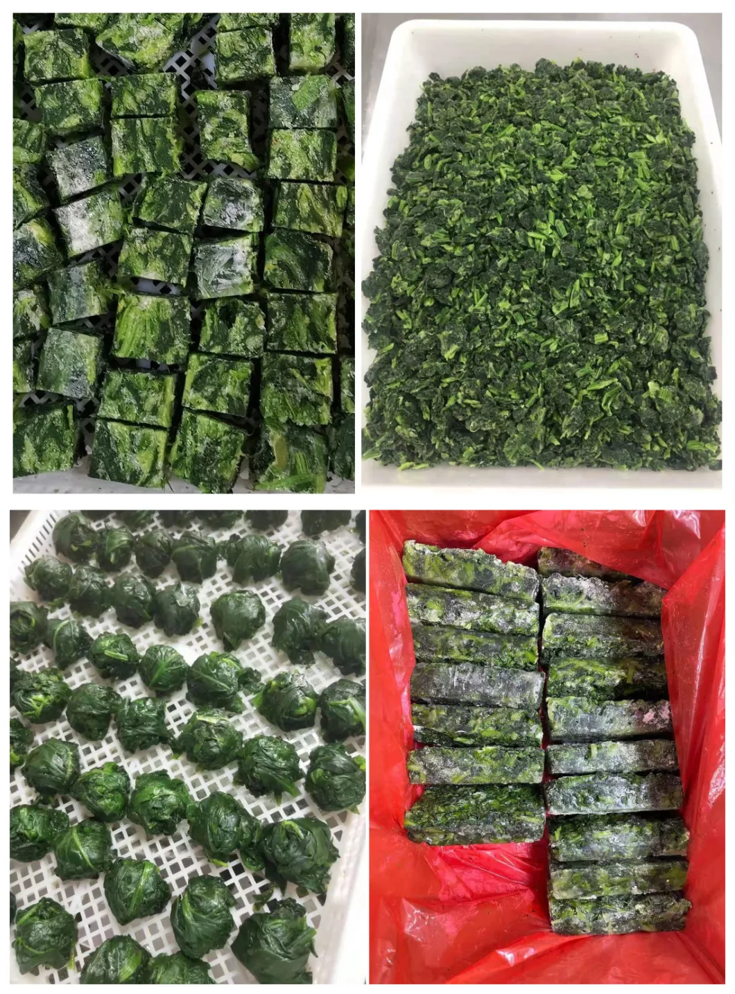 IQF New Crop Frozen Top Quality Chopped Spinach