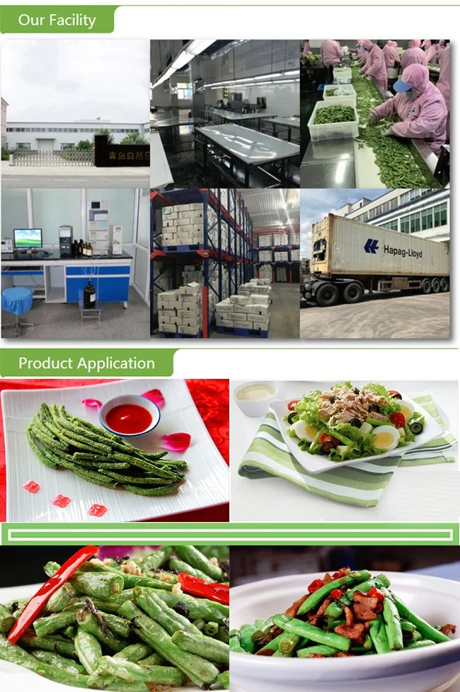 China Frozen IQF Cut Green Beans with EU Standard for Exporting in Bulk Retail Packing