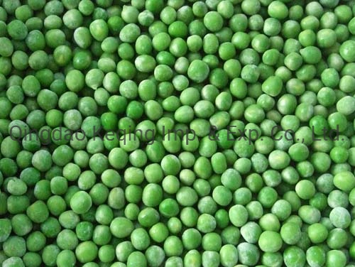 Good Price Frozen Vegetables FDA Kosher Halal HACCP Organic Certificates Spinach Dice 6*6mm 10*10mm