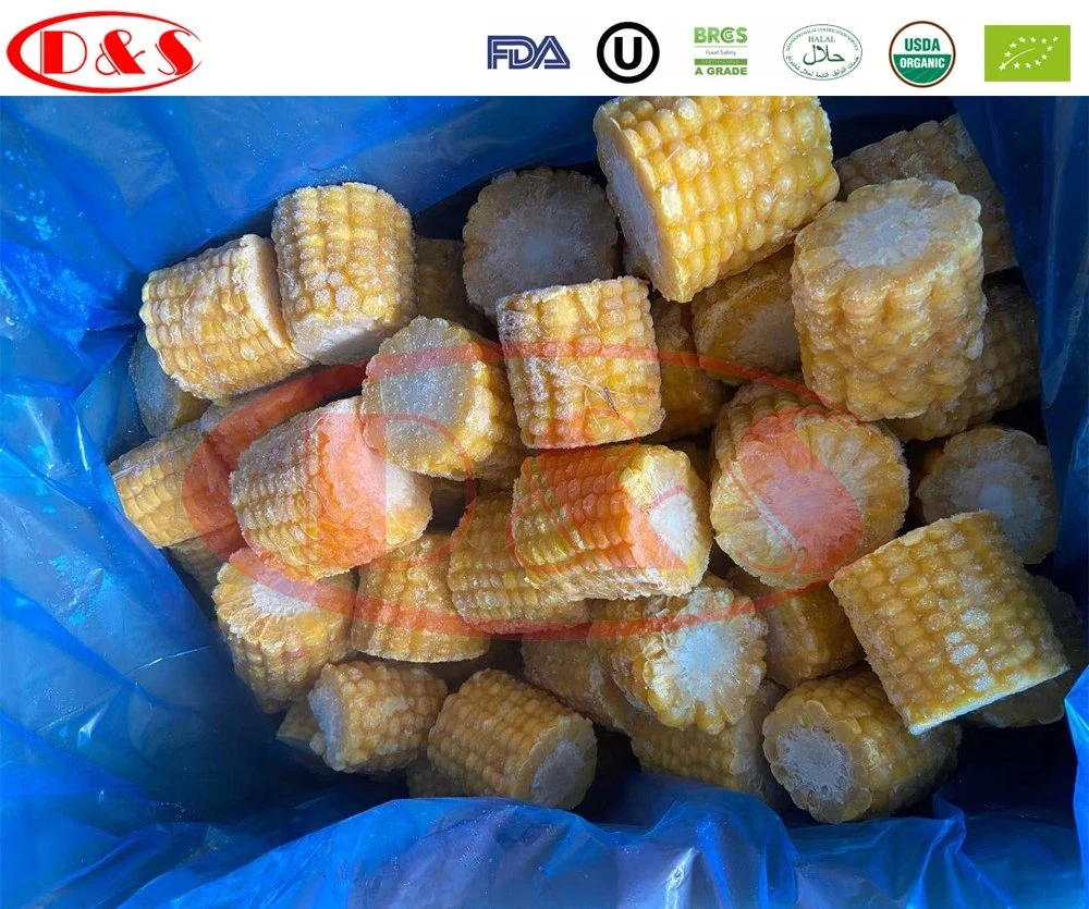 High Quality Frozen Shredded Ginger Organic Ginger with Good Price