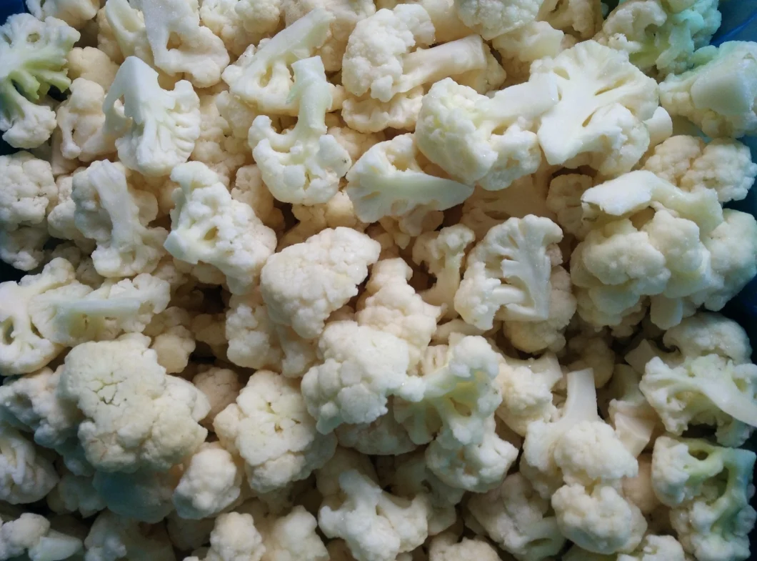 Factory Sale Directly New Crop Fresh Frozen Vegetable IQF Cauliflower