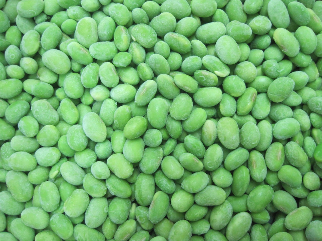 High Quality IQF Frozen Soy Bean Edamame Kernel Experienced Agriculture Supplier