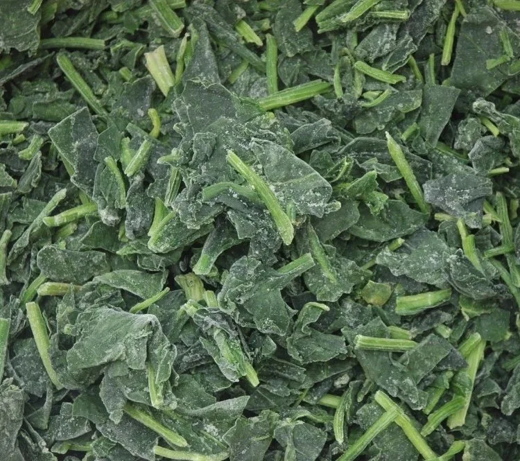 China IQF Frozen Spinach Cut Vegetables