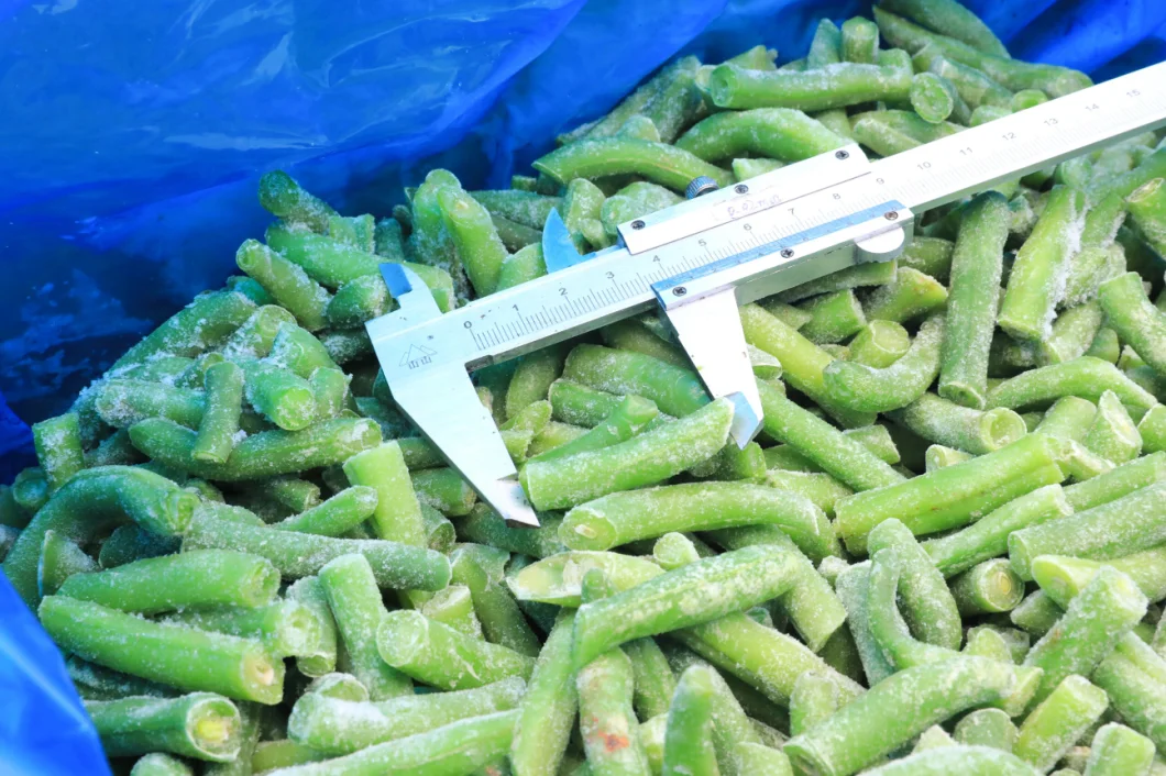 Sinocharm Brc a Approved High-Quality IQF Green Beans Whole Frozen Green Beans Whole