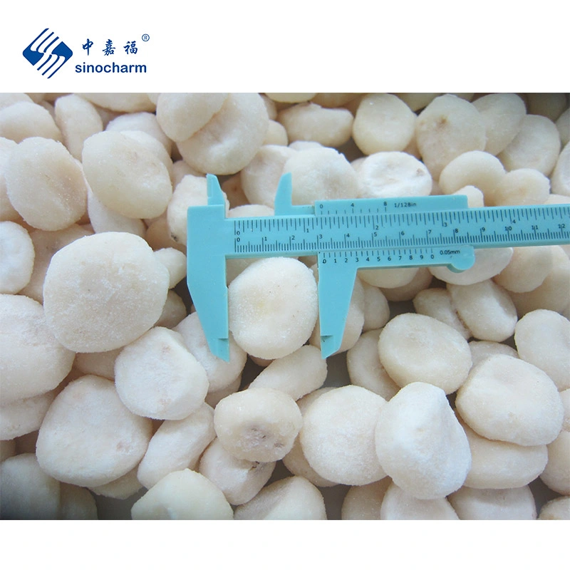 Sinocharm Brc Grade a Frozen Water Chestnut