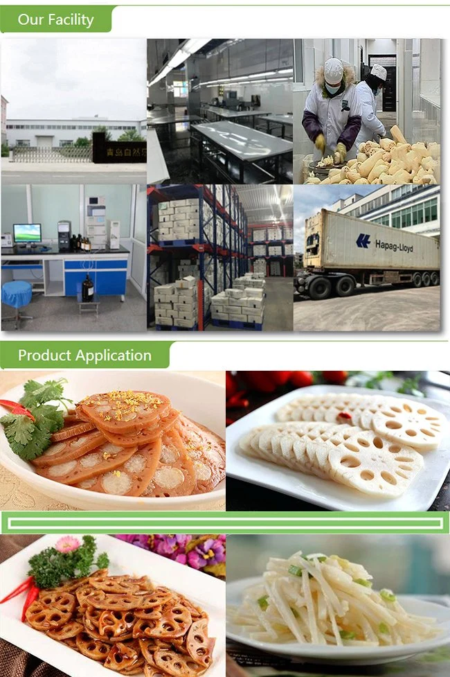 Qf Vegetable Wholesale Price Frozen Lotus Root