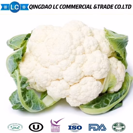 新しい作物 プレミアム品質の IQF 冷凍カリフラワーをお手頃価格で 冷凍野菜カリフラワー