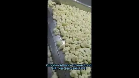 高品質の新鮮な冷凍カリフラワー