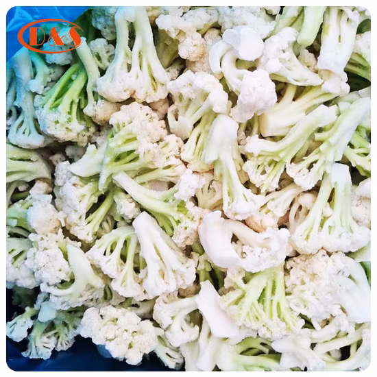 新鮮な冷凍野菜のIQFカリフラワー新品種を工場直販